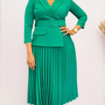 Elegant Women’s Suit-Collar Pleated Dress