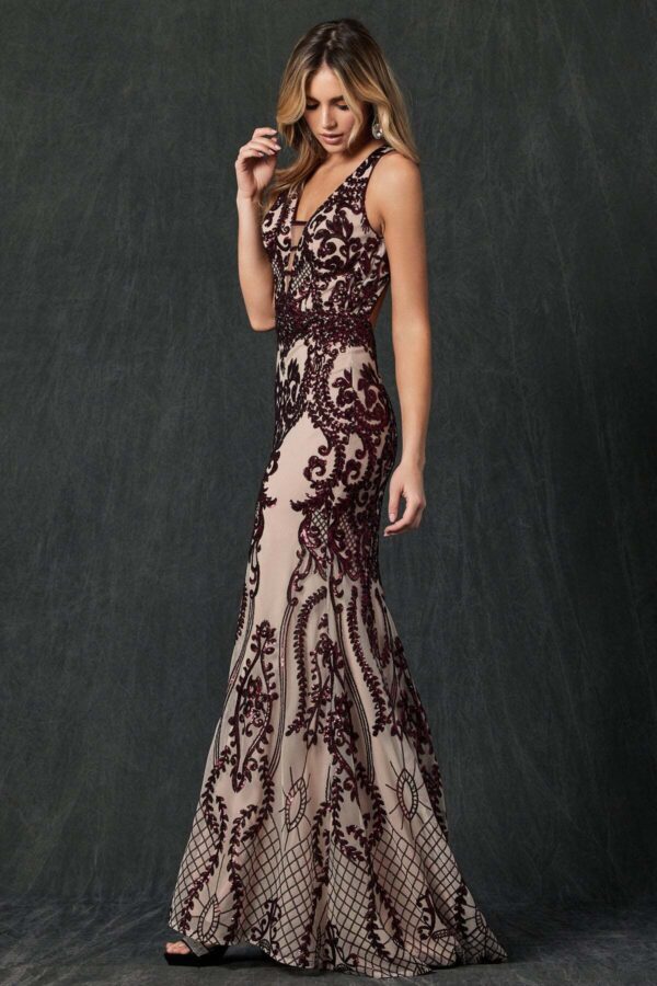 Embroidered Lace Illusion  Dress