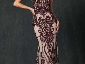 Embroidered Lace Illusion  Dress