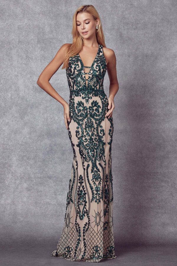 Embroidered Lace Illusion  Dress