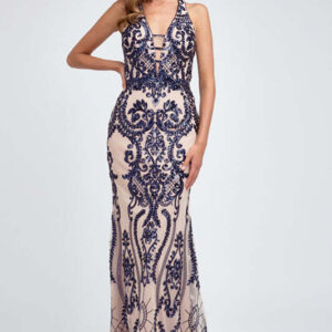 Embroidered Lace Illusion  Dress