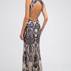 Embroidered Lace Illusion  Dress