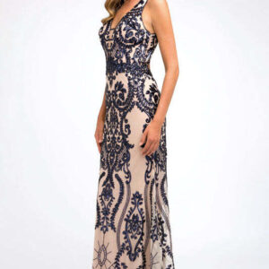 Embroidered Lace Illusion  Dress