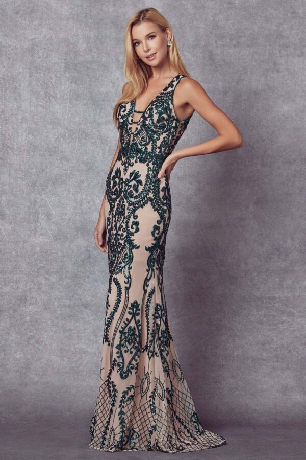 Embroidered Lace Illusion  Dress