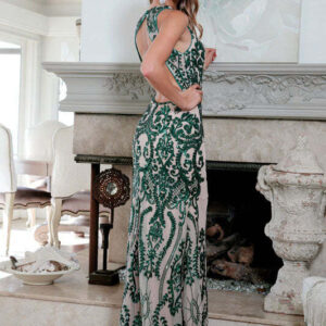 Embroidered Lace Illusion  Dress