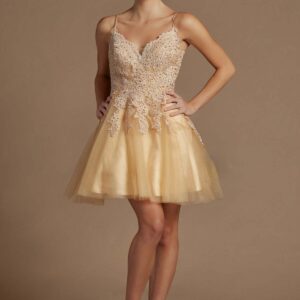 Cocktail Dress - Illusion V-Neck Embroidered Lace Babydoll Short  Cocktail/Homecoming Dress