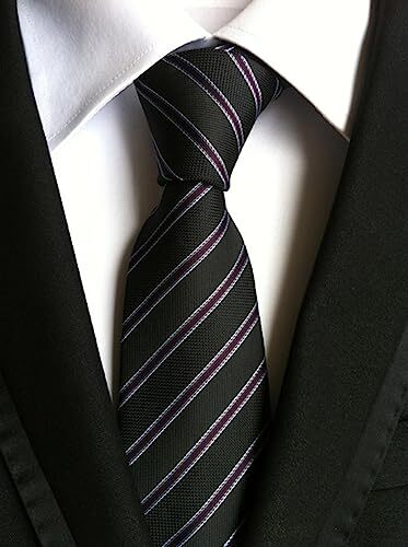 WeiShang Lot 6 PCS Classic Men's Silk Tie Necktie Woven JACQUARD Neck Ties