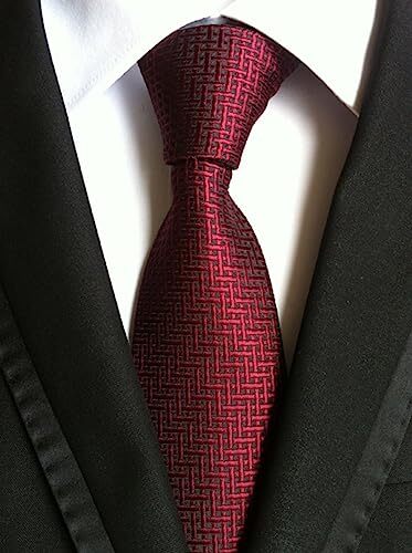 WeiShang Lot 6 PCS Classic Men's Silk Tie Necktie Woven JACQUARD Neck Ties