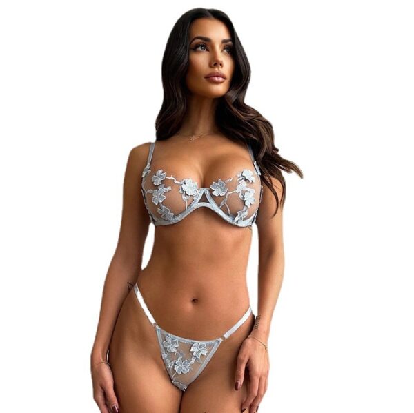 Sexy See-through Embroidered Underwear Two-piece Set