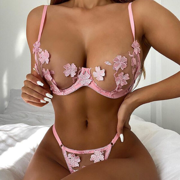 Sexy See-through Embroidered Underwear Two-piece Set